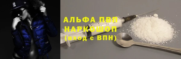ПСИЛОЦИБИНОВЫЕ ГРИБЫ Каменка