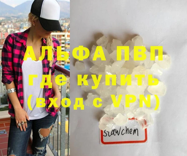 ПСИЛОЦИБИНОВЫЕ ГРИБЫ Каменка