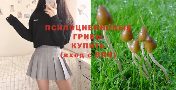 синтетический гашиш Касимов