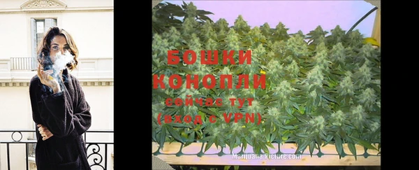 ПСИЛОЦИБИНОВЫЕ ГРИБЫ Каменка